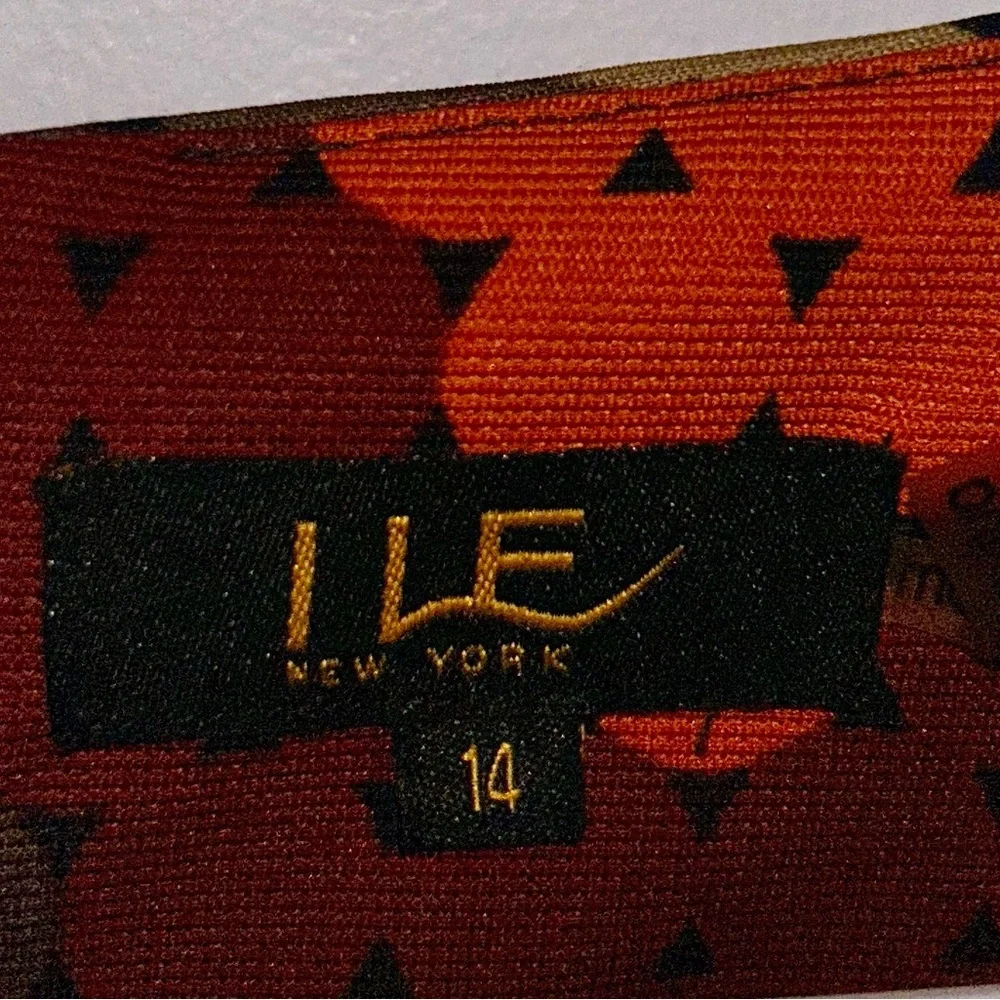 ILE Retro chevron circles print dress Size 14 - Picture 8 of 9